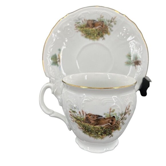 Bernadotte Fine China Tea Coffee Cup and Saucer Set Czech Republic Hare Wildlife - Picture 1 of 8